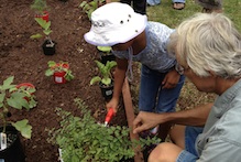 Carl Evensen planting garden